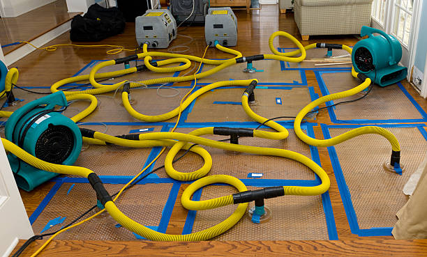 Professional Flood Damage Restoration technician working in La Grange, TX